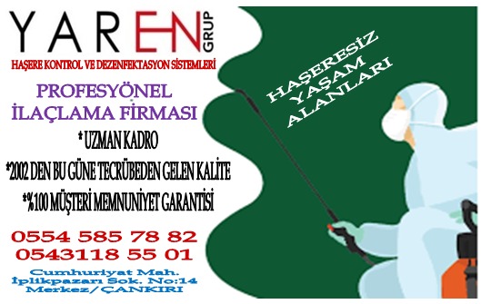 Profesyonel haşere ilaçlama Çankırı